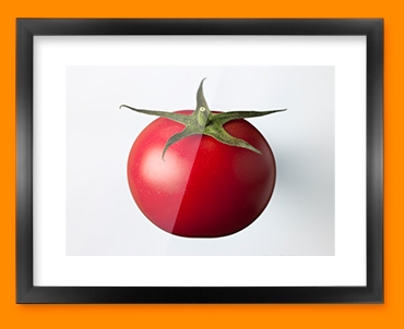 White Tomato Framed Print