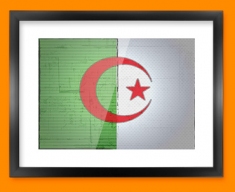Algeria Flag Framed Print