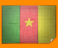 Cameroon Flag Poster