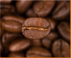 Coffee Beans Canvas Art Print