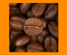 Coffee Beans Napkins (Set of 4)