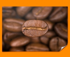 Coffee Beans Poster