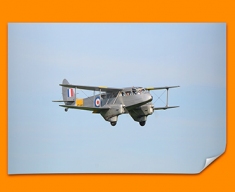DH89 Dragon Rapide de Havilland Plane Poster