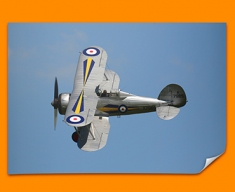 Gladiator Gloster Plane Poster