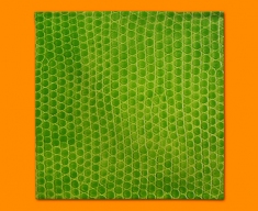 Green Snake Animal Skin Napkins (Set of 4)