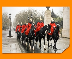 Horse Guards Poster