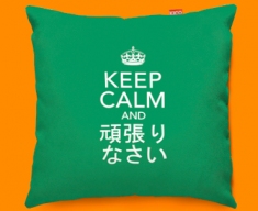 Japanese Keep Calm Carry On Funky Sofa Cushion 45x45cm
