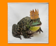 King Frog Napkins (Set of 4)