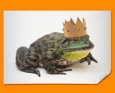 King Frog Poster