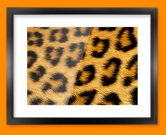 Leopard Animal Skin Framed Print