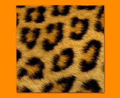 Leopard Animal Skin Napkins (Set of 4)