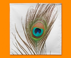 Peacock Feather Napkins (Set of 4)