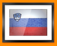 Slovakia Flag Framed Print