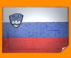 Slovakia Flag Poster