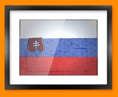 Slovenia Flag Framed Print