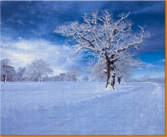 Snowy Road Canvas Art Print