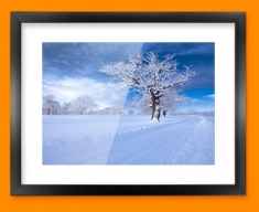 Snowy Road Framed Print