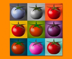 Tomato Collage Napkins (Set of 4)