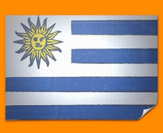 Uraguay Flag Poster