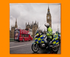 Westminster Police Napkins (Set of 4)