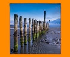 Wittering Beach Posts Napkins (Set of 4)