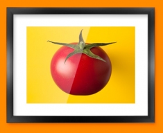 Yellow Tomato Framed Print