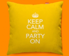 Keep Calm Party On Funky Sofa Cushion 45x45cm
