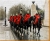 Horse Guards Canvas Art Print
