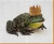 King Frog Canvas Art Print