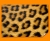 Leopard Animal Skin Poster