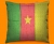 Cameroon Flag Cushion 45x45cm